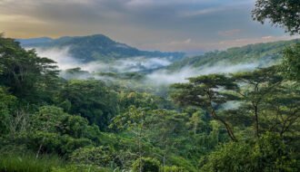 unique stay in dominical