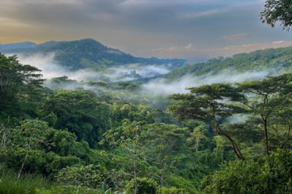 unique stay in dominical
