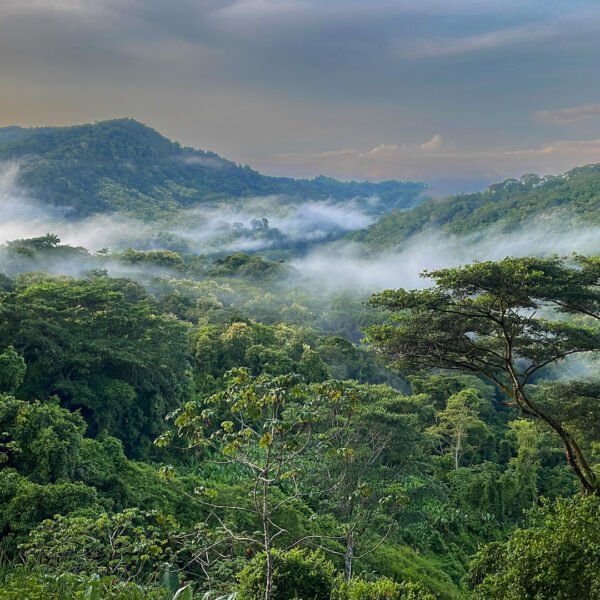 unique stay in dominical
