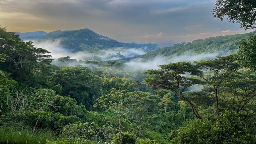 unique stay in dominical