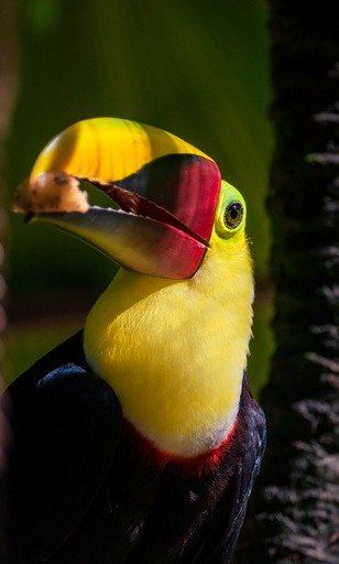 Alturas Wildlife Sanctuary, Costa Rica