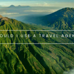 Should I use a Travel Agent?
