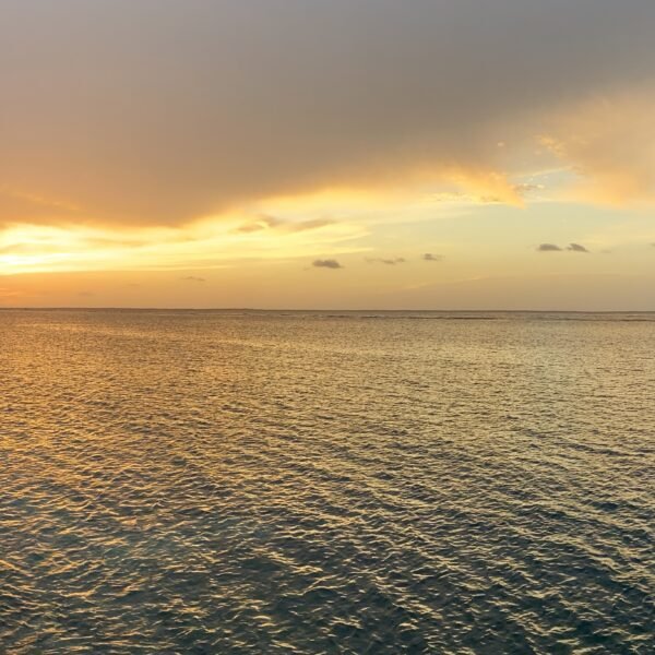 Moon Palace Jamaica Review