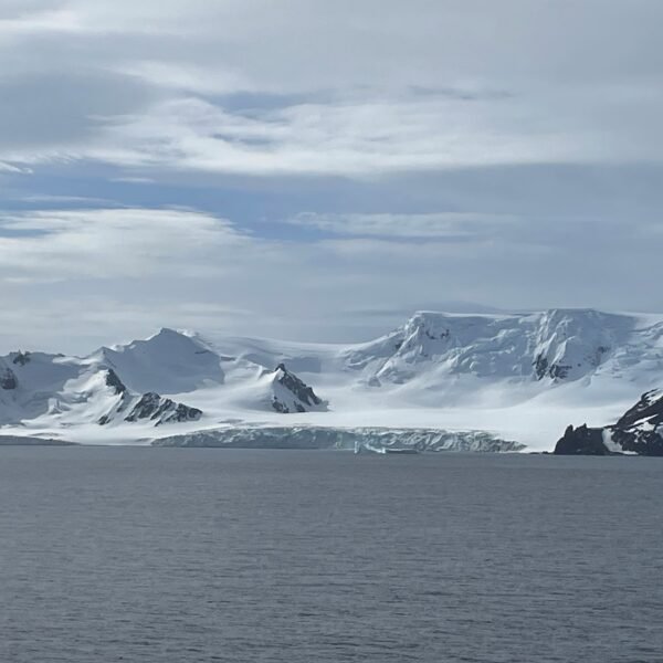 Antarctica Cruise Princess