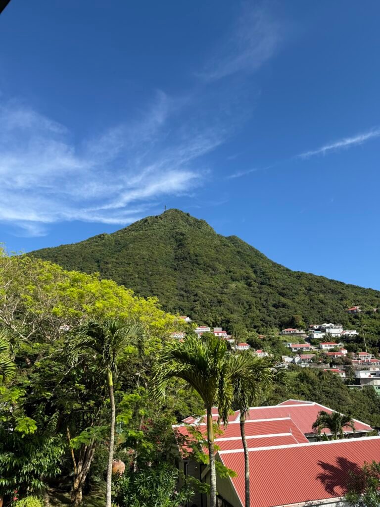 IMG 0176
