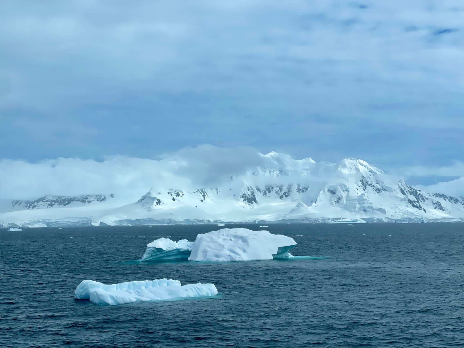 FullSizeRender 2 scaled