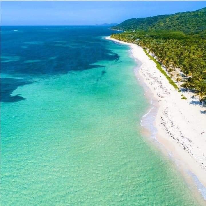 d8a8d230 8bd1 4c93 ad65 eeeeec0fb50c 1