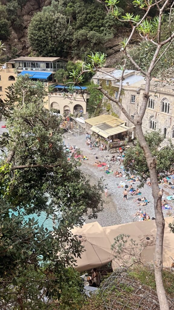 f6c54d4e dbde 49ca 971f c541dd5e3071