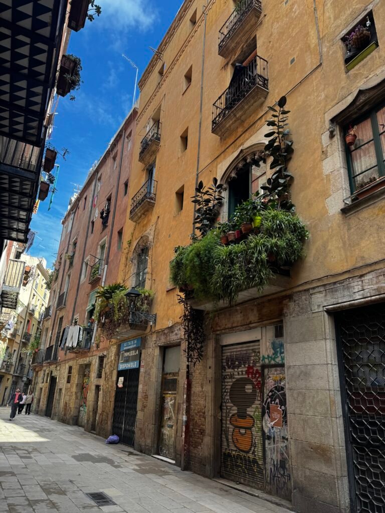     El Born neighborhood streets Barcelona