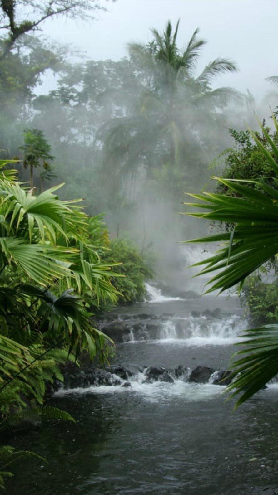 Costa Rica Arenal Itinerary: 6 Days in La Fortuna