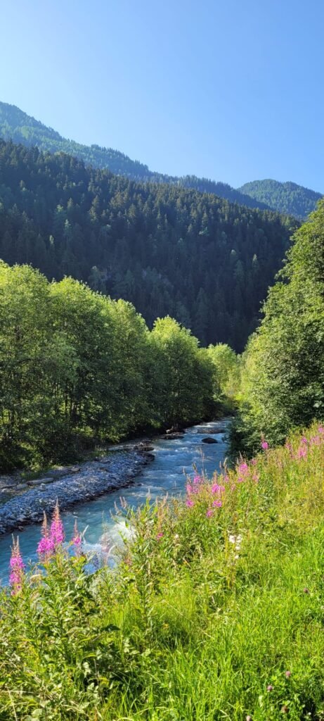 Glacier Express train through the Swiss Alp