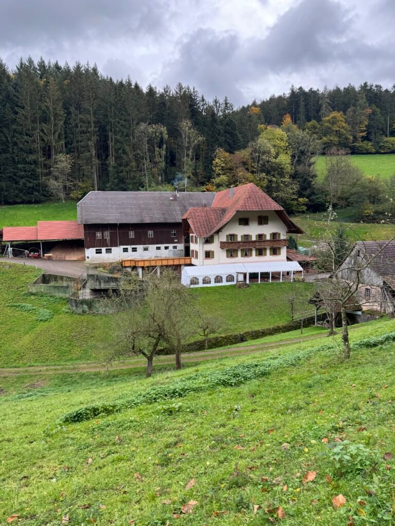 Black Forest Germany 