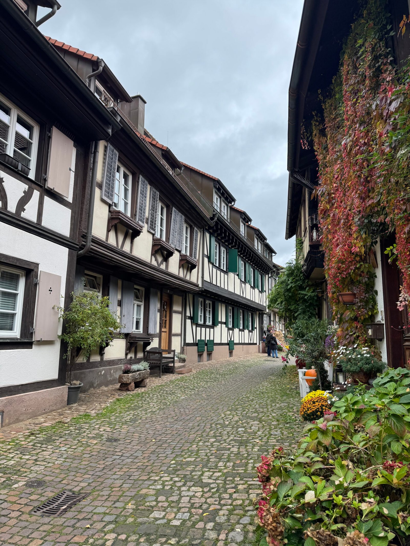 Germany Travel Guide: Everything You Need to Know Before Visiting