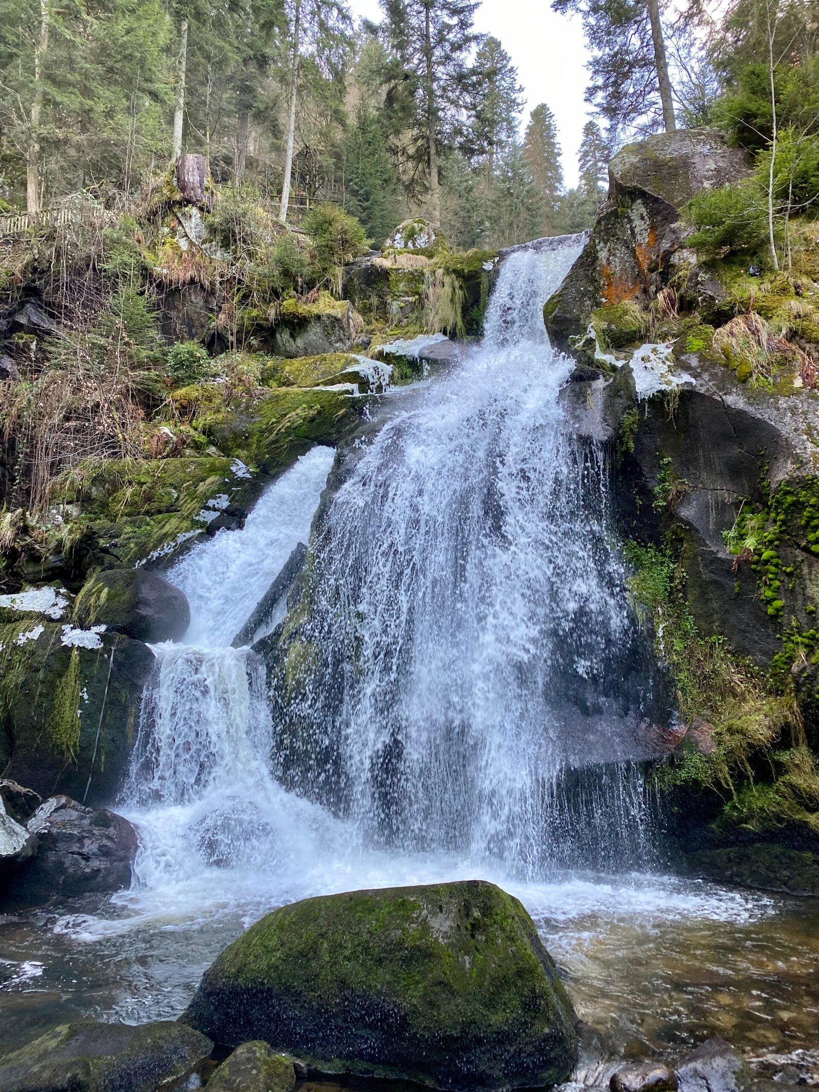 Black Forest Travel Guide: Where to Stay, Best Hikes, and How to Plan Your Trip (2026)