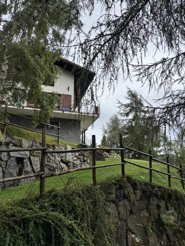 IMG 4956